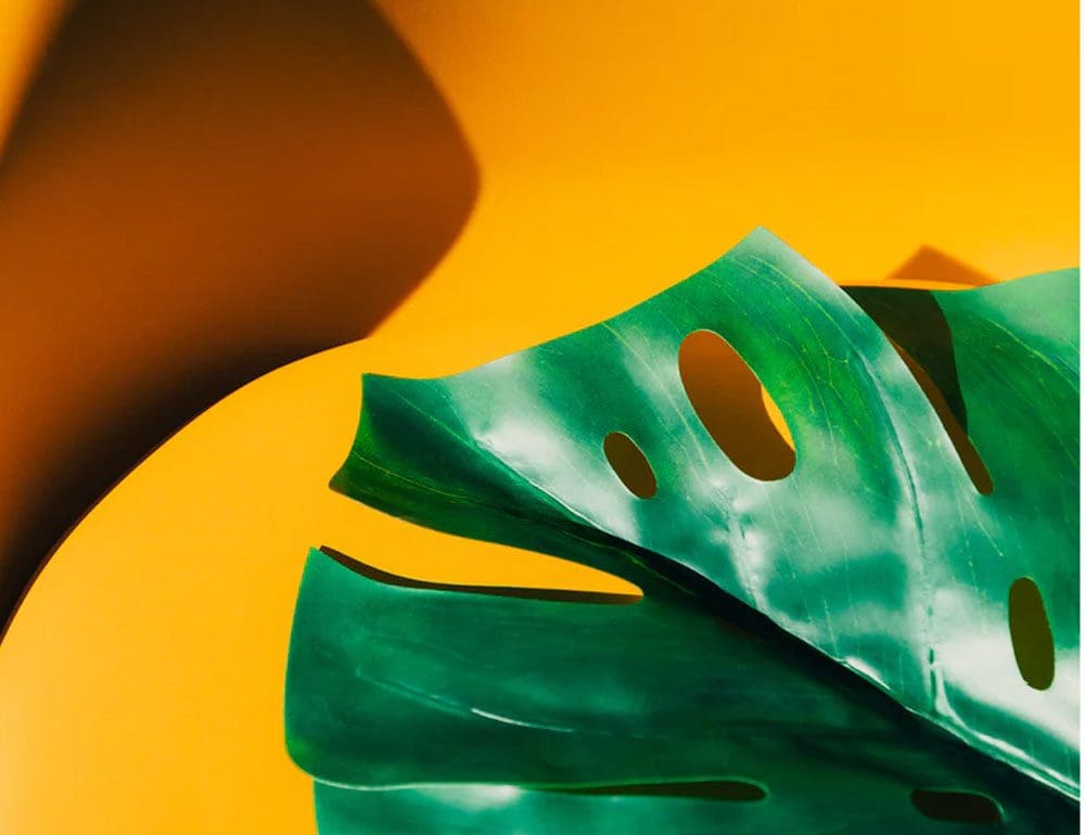 beth haley design header - JLB, Best Web Design and Web Development Company in Nashville, Brentwood, and Franklin