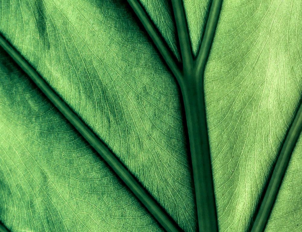 origin anesthesia header - JLB, Best Web Design and Web Development Company in Nashville, Brentwood, and Franklin