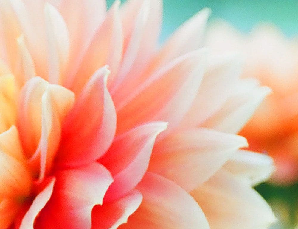 balanced by barbara header - JLB, Best Web Design and Web Development Company in Nashville, Brentwood, and Franklin